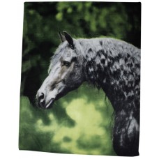 fleecová deka s motivem fríského koně 