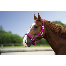 ohlávka Norton Air full