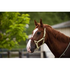 ohlávka Equi-Theme DeLuxe 