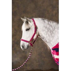 ohlávka Equi-Theme Stripe