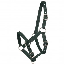 ohlávka hříběcí First step